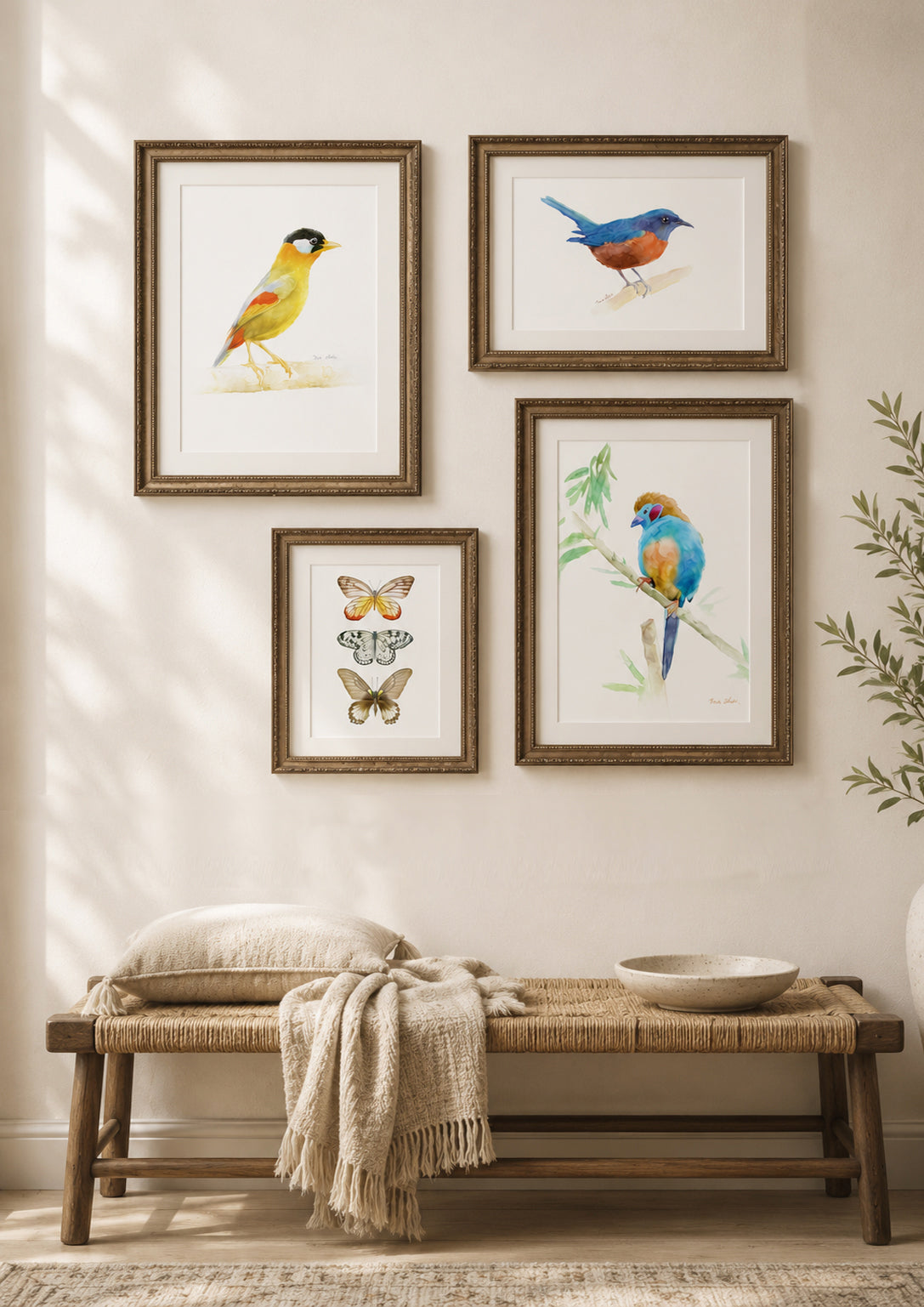 Watercolor Bird & Butterfly Art Print Set – Set of 4